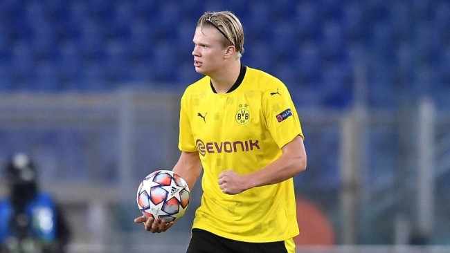 撸宠模拟器！《对马》导剪版新增多个可互动小动物！